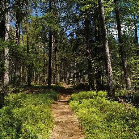 Hotel City Hotel Mark Michelstadt 3*