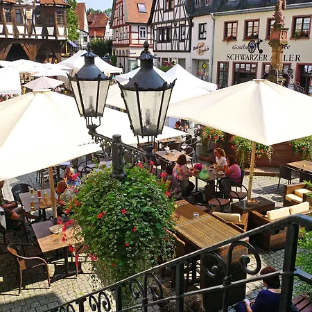 Hotel City Hotel Mark Michelstadt 3*