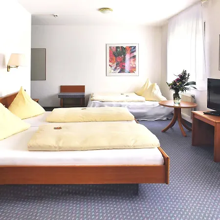 City Hotel Mark Michelstadt Hotel Michelstadt