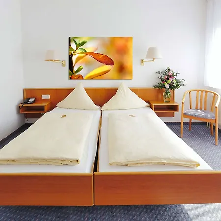 City Hotel Mark Michelstadt 3*