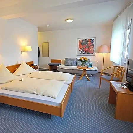City Hotel Mark Michelstadt 3* Michelstadt